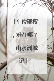 车位确权，难在哪？｜山水洲城记