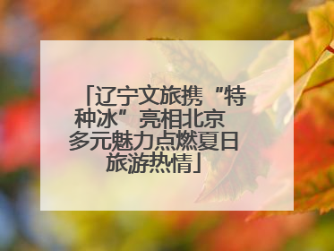 辽宁文旅携“特种冰”亮相北京 多元魅力点燃夏日旅游热情