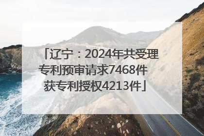 辽宁：2024年共受理专利预审请求7468件 获专利授权4213件