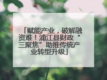 赋能产业，破解融资难！浦江县财政“三聚焦”助推传统产业转型升级
