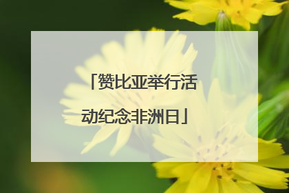 赞比亚举行活动纪念非洲日