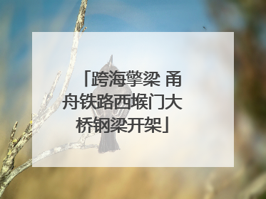 跨海擎梁 甬舟铁路西堠门大桥钢梁开架