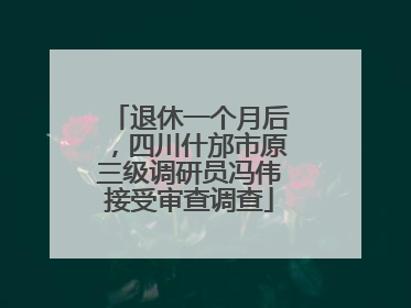 退休一个月后，四川什邡市原三级调研员冯伟接受审查调查