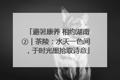 避暑康养 相约湖南②｜茶陵：水天一色间，于时光里拾取诗意