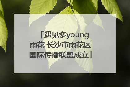 遇见多young雨花 长沙市雨花区国际传播联盟成立