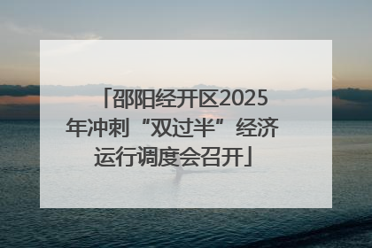 邵阳经开区2025年冲刺“双过半”经济运行调度会召开