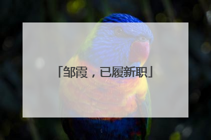 邹霞，已履新职