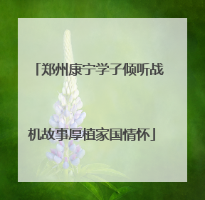 郑州康宁学子倾听战机故事厚植家国情怀