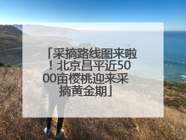 采摘路线图来啦！北京昌平近5000亩樱桃迎来采摘黄金期