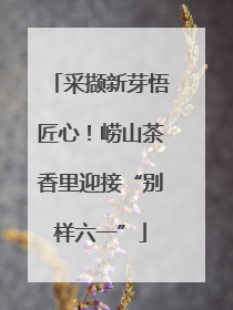 采撷新芽悟匠心！崂山茶香里迎接“别样六一”