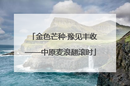 金色芒种·豫见丰收——中原麦浪翻滚时
