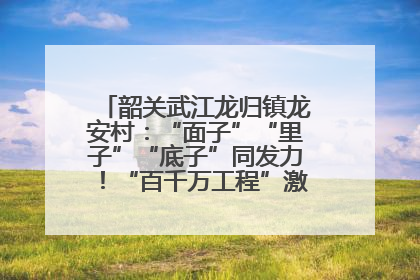 韶关武江龙归镇龙安村：“面子”“里子”“底子”同发力！“百千万工程”激活乡村新动能