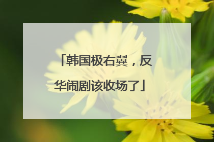 韩国极右翼，反华闹剧该收场了