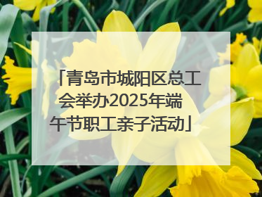 青岛市城阳区总工会举办2025年端午节职工亲子活动