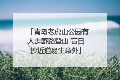 青岛老虎山公园有人走野路登山 盲目抄近道易生意外
