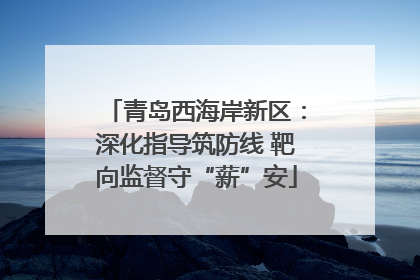 青岛西海岸新区：深化指导筑防线 靶向监督守“薪”安