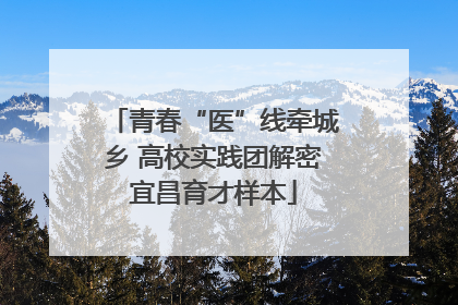 青春“医”线牵城乡 高校实践团解密宜昌育才样本