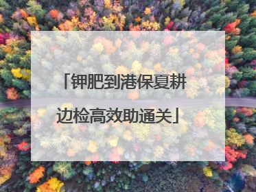 钾肥到港保夏耕 边检高效助通关