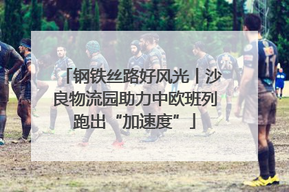 钢铁丝路好风光丨沙良物流园助力中欧班列跑出“加速度”
