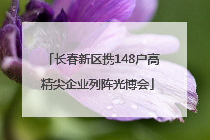长春新区携148户高精尖企业列阵光博会