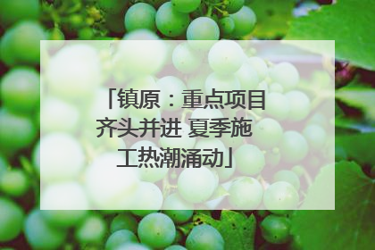 镇原：重点项目齐头并进 夏季施工热潮涌动
