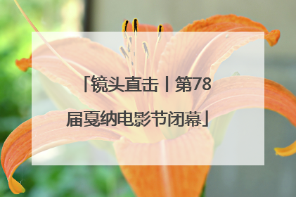 镜头直击丨第78届戛纳电影节闭幕