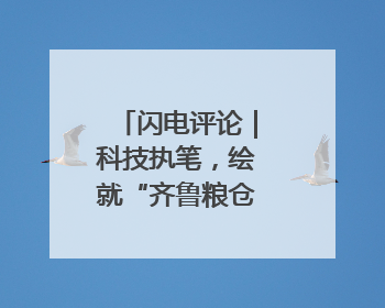 闪电评论｜科技执笔，绘就“齐鲁粮仓”新丰景