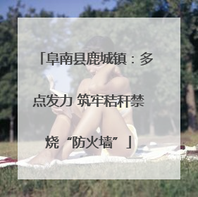 阜南县鹿城镇：多点发力 筑牢秸秆禁烧“防火墙”