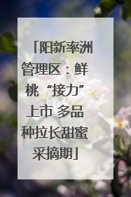 阳新率洲管理区：鲜桃“接力”上市 多品种拉长甜蜜采摘期
