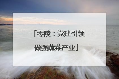 零陵：党建引领 做强蔬菜产业