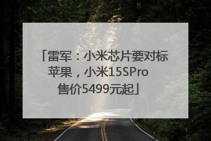 雷军：小米芯片要对标苹果，小米15SPro售价5499元起
