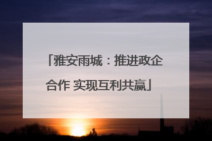 雅安雨城：推进政企合作 实现互利共赢