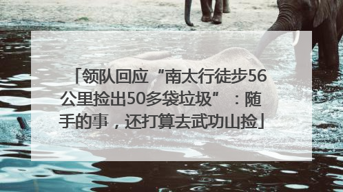 领队回应“南太行徒步56公里捡出50多袋垃圾”：随手的事，还打算去武功山捡