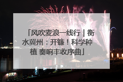 风吹麦浪一线行｜衡水冀州：开镰！科学种植 奏响丰收序曲