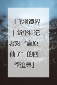 飞羽镜界｜新华社记者对“高原仙子”的四季追寻