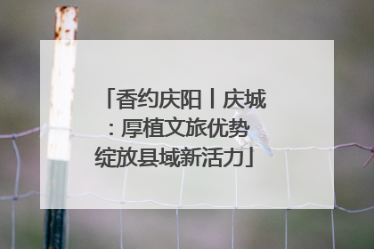 香约庆阳丨庆城：厚植文旅优势 绽放县域新活力