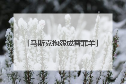 马斯克抱怨成替罪羊