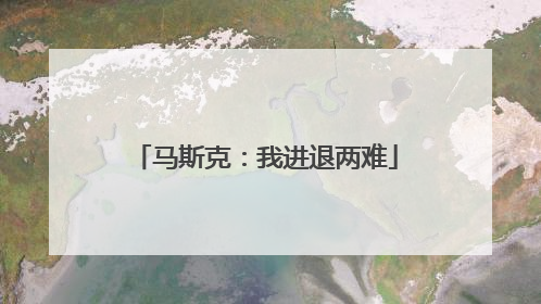 马斯克：我进退两难