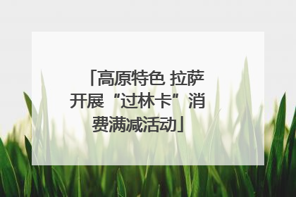 高原特色 拉萨开展“过林卡”消费满减活动