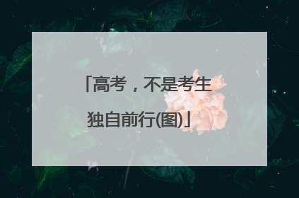 高考，不是考生独自前行(图)