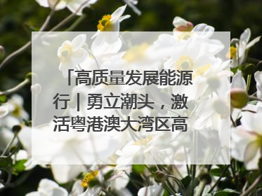 高质量发展能源行｜勇立潮头，激活粤港澳大湾区高质量发展动力源