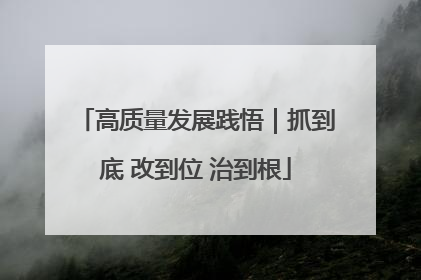 高质量发展践悟｜抓到底 改到位 治到根