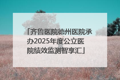 齐鲁医院德州医院承办2025年度公立医院绩效监测智享汇