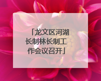 龙文区河湖长制林长制工作会议召开