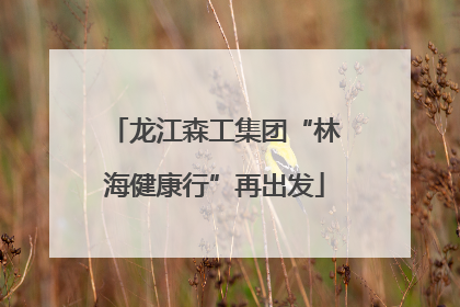 龙江森工集团“林海健康行”再出发
