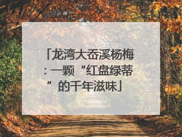 龙湾大岙溪杨梅：一颗“红盘绿蒂”的千年滋味