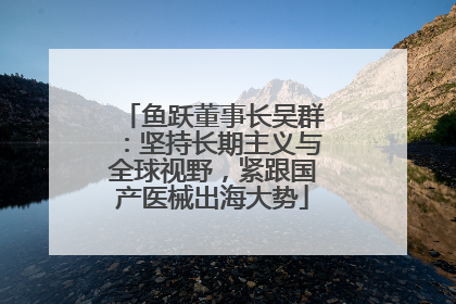 鱼跃董事长吴群：坚持长期主义与全球视野，紧跟国产医械出海大势