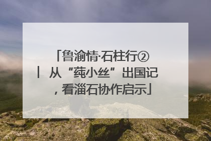 鲁渝情·石柱行② ︳从“莼小丝”出国记，看淄石协作启示