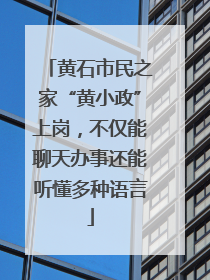 黄石市民之家“黄小政”上岗，不仅能聊天办事还能听懂多种语言