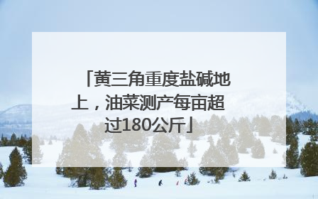 黄三角重度盐碱地上，油菜测产每亩超过180公斤